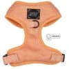 Dog Adjustable Harness - Apple Cider -Furfinity Cheap Shop Orange Fall Dog Harness 4