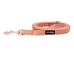 Collar Three Piece Bundle - Apple Cider 17 Collar Three Piece Bundle - Apple Cider -Furfinity Cheap Shop Orange Fall Dog Leash
