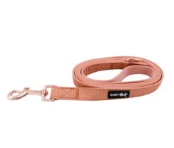 Dog Leash - Apple Cider 14 Dog Leash - Apple Cider -Furfinity Cheap Shop Orange Fall Dog Leash2
