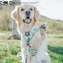 Dog Two Piece Bundle -The Powerpuff Girls™ (Green) 21 Dog Two Piece Bundle -The Powerpuff Girls™ (Green) -Furfinity Cheap Shop PEACHANDTHEPALMERS PPG 7