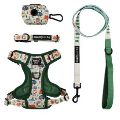 Dog Four Piece Bundle - Peanuts™ Beagle Scouts