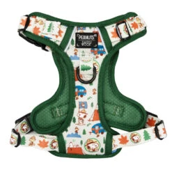 Dog Two Piece Bundle - Peanuts™ Beagle Scouts -Furfinity Cheap Shop PEANUTS GREEN TAILS ON TRAILS HARNESS 77576043 2c6e 43b7 b1b8 a847ede6fba4