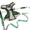 Dog Two Piece Bundle - Peanuts™ Beagle Scouts 1 Dog Two Piece Bundle - Peanuts™ Beagle Scouts -Furfinity Cheap Shop PEANUTS GREEN TAILS ON TRAILS TWO PIECE BUNDLE