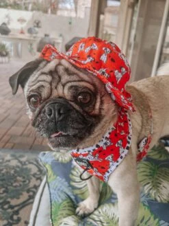 Dog Bucket Hat - Disney's 101 Dalmatians -Furfinity Cheap Shop PENNIEPUG 4