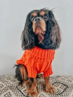 Dog Cable Knit Sweater - Orange -Furfinity Cheap Shop PENNYTHECAVALIER2020 1
