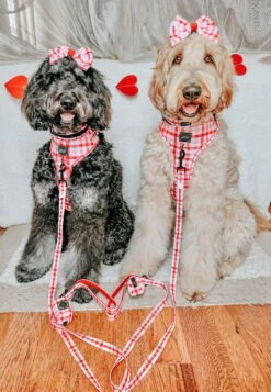 Dog Two Piece Bundle -Picnic Fur Two -Furfinity Cheap Shop PENNY PIE DOODLE 2 9846f290 71de 4a81 873b d8e8d660d373