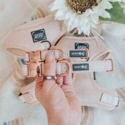 Dog Collar - Pinot 14 Dog Collar - Pinot -Furfinity Cheap Shop PICTURE WEBSITE