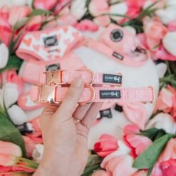 Dog Collar - Dolce Rose -Furfinity Cheap Shop PICTURE WEBSITE 3