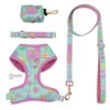 Dog Four Piece Bundle - Polly Pocket™ -Furfinity Cheap Shop POLLY POCKET BUNDLE PATENTED