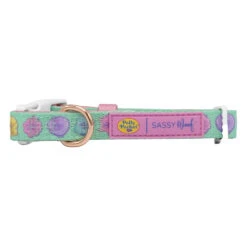 Collar Three Piece Bundle - Polly Pocket™ 15 Collar Three Piece Bundle - Polly Pocket™ -Furfinity Cheap Shop POLLY POCKET COLLAR 2 b8185f66 00df 4252 8743 aafb28575884