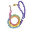 Dog Rope Leash - Polly Pocket™ -Furfinity Cheap Shop POLLY POCKET ROPE LEASH 4