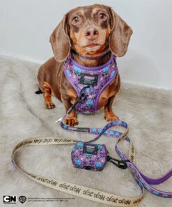 Dog Two Piece Bundle -Mojo Jojo™ -Furfinity Cheap Shop PUMPKIN WEENIE 3 6afa9536 d14b 4300 aafe 0609c065321e