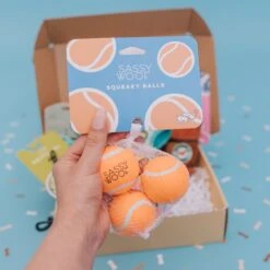 3 Pack Of Squeaky Tennis Balls