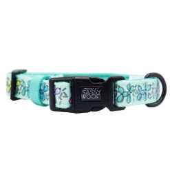 Dog Three Piece Bundle - Pup Pup Hooray -Furfinity Cheap Shop PUP PUP HOORAY COLLAR 2 895159f3 a59c 44a5 a900 2ac199905488