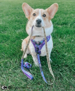 Dog Four Piece Bundle - Mojo Jojo™ -Furfinity Cheap Shop PUPPYNAPKIN 1