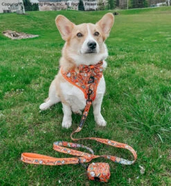 Dog Sailor Bow - Garfield™ -Furfinity Cheap Shop PUPPYNAPKIN 2 f9b7ddec 07a2 4c63 8603 8eb6735b9fd1