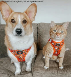 Cat Step-In Harness - Garfield™️ -Furfinity Cheap Shop PUPPYNAPKIN 3 fcf50d48 a97e 40e1 8238 b1c3e0f5978a