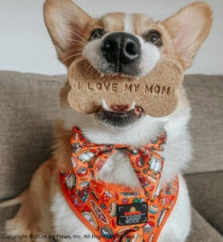 Dog Sailor Bow - Garfield™ -Furfinity Cheap Shop PUPPYNAPKIN 5