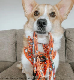 Dog Four Piece Bundle - Garfield™ -Furfinity Cheap Shop PUPPYNAPKIN 6