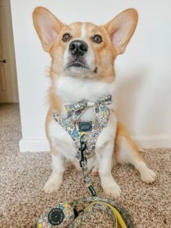 Dog Waste Bag Holder - Raise The Woof -Furfinity Cheap Shop PUPPYNAPKIN 2