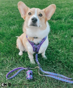 Dog Waste Bag Holder - Mojo Jojo™ -Furfinity Cheap Shop PUPPYNAPKIN f68c56fb b5a1 4216 a4bf fae6417a71e4