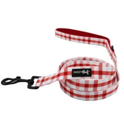 Dog Two Piece Bundle -Picnic Fur Two -Furfinity Cheap Shop PicnicFurTwoLeash