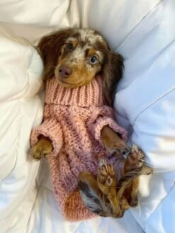 Dog Cable Knit Sweater - Pink -Furfinity Cheap Shop PinkSweater