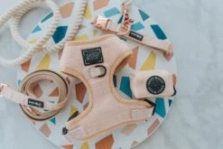 Dog Leash - Pinot -Furfinity Cheap Shop Pinot Dog Bundle Harness Rope a961eb85 aa58 439b a7c8 499ef604dcec