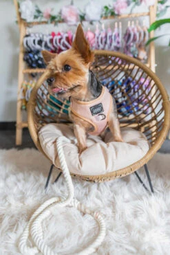 Dog Adjustable Harness - Pinot -Furfinity Cheap Shop Pinot 1 2