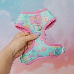 Dog Two Piece Bundle - Polly Pocket™ -Furfinity Cheap Shop Pokky Pocket Product Photos 2