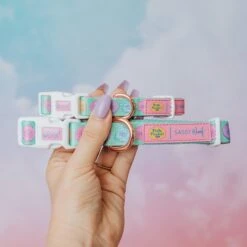 Collar Three Piece Bundle - Polly Pocket™ 20 Collar Three Piece Bundle - Polly Pocket™ -Furfinity Cheap Shop Pokky Pocket Product Photos 3 94ec5cd9 ff20 4a35 9a99 870422b4fbef