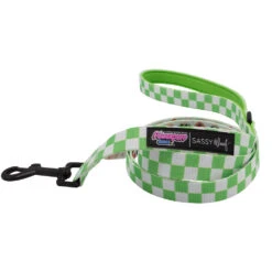 Dog Two Piece Bundle -The Powerpuff Girls™ (Green) 15 Dog Two Piece Bundle -The Powerpuff Girls™ (Green) -Furfinity Cheap Shop Powerpuff green dog leash 2 0774ac0a 080c 4ccf a20c 90cebeba27ad