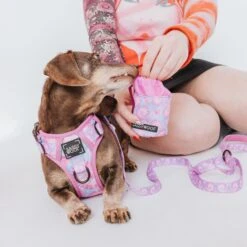 Dog Treat Pouch - Purple Haze 13 Dog Treat Pouch - Purple Haze -Furfinity Cheap Shop PurpleHaze TreatPouch ModelImages 2