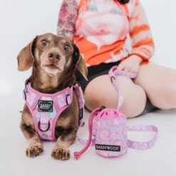 Dog Treat Pouch - Purple Haze 12 Dog Treat Pouch - Purple Haze -Furfinity Cheap Shop PurpleHaze TreatPouch ModelImages