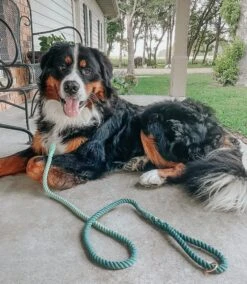 Dog Rope Leash - Hunter -Furfinity Cheap Shop RANGER THEBERNER