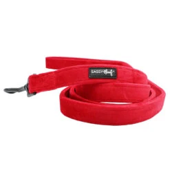 Dog Two Piece Bundle - Naughty -Furfinity Cheap Shop RED VELVET FLUFF LEASH fe252da1 a0ee 4073 9b80 9f0e382b1f74