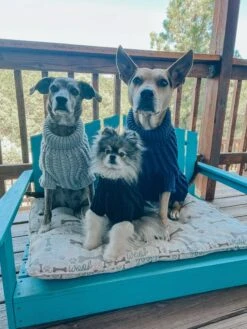 Dog Cable Knit Sweater - Gray -Furfinity Cheap Shop REMUSTHEMINIWOLF 2 94ff004b 3c3b 4aac 94b5 6876d76ca1cd