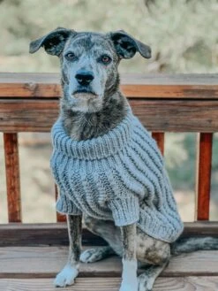 Dog Cable Knit Sweater - Gray -Furfinity Cheap Shop REMUSTHEMINIWOLF 3 6efad4fe 3cfe 4a97 ab08 8d4e36a7f962