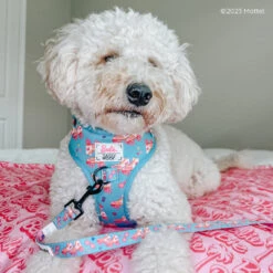 Pet Blanket - BARBIE™ Malibu -Furfinity Cheap Shop REMYROSE GOLDENDOODLE2