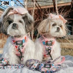 Dog Waste Bag Holder - The Powerpuff Girls™ (Pink) -Furfinity Cheap Shop ROSIEALIE PPG 1