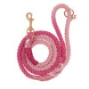 Dog Rope Leash - Hibiscus -Furfinity Cheap Shop RasberryRope1