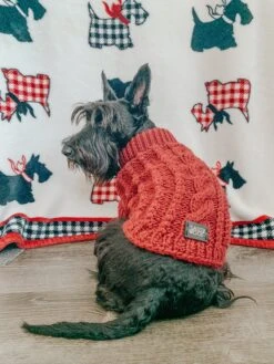 Dog Cable Knit Sweater - Red -Furfinity Cheap Shop RedCable22 Ginger 2