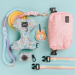 Potty Pal - Corgi -Furfinity Cheap Shop RestockFavs Ads 1x1 2