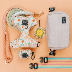 Potty Pal - Sun -Furfinity Cheap Shop RestockFavs Ads 1x1 5