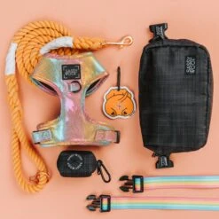 Potty Pal - Dachshund -Furfinity Cheap Shop RestockFavs Ads 1x1 6