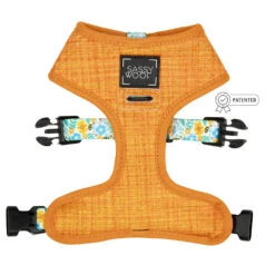 Dog Two Piece Bundle - Must Be The Honey -Furfinity Cheap Shop Reversible bees harness patented 3 52449ff1 0e62 4d35 a55b 1738ba2b4030