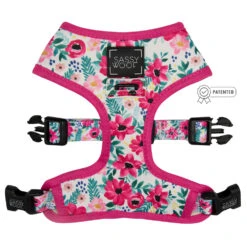 Dog Four Piece Bundle - Floral Frenzy -Furfinity Cheap Shop Reversible flowers harness patented 5
