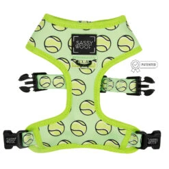 Dog Four Piece Bundle - Serving Up Sass -Furfinity Cheap Shop Reversible tennis harness patented 3