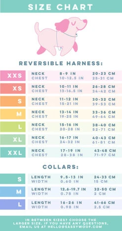 Dog Four Piece Bundle - Floral Frenzy -Furfinity Cheap Shop ReversibleBundleSizeChart 8f7175c6 3970 4e2a 9219 e07e7d195cb1