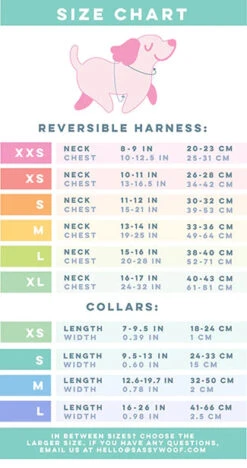 Dog Four Piece Bundle - Mykonos -Furfinity Cheap Shop Reversiblebundlechart